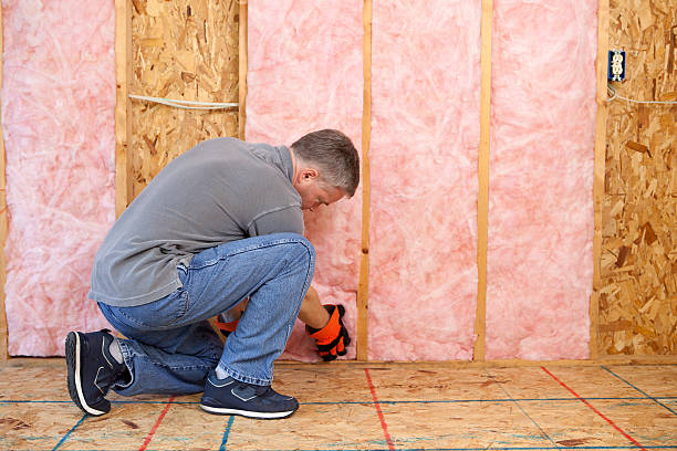 Best DIY Insulation Kits and Guidance in Sauk City, WI