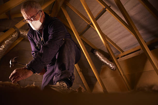 Best Geographic-Specific Insulation Services in Sauk City, WI