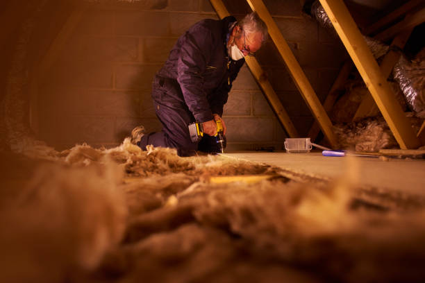 Best Insulation Maintenance and Repair in Sauk City, WI